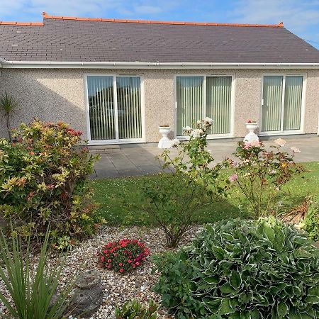 Coed Bach Suite Bryngwran Εξωτερικό φωτογραφία